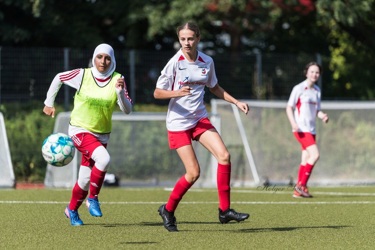 Bild 197 - wCJ Walddoerfer - Concordia : Ergebnis: 0:1